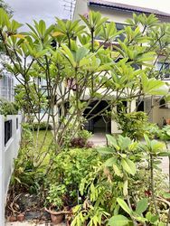 Upper East Coast Road (D16), Terrace #503431931